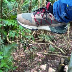 Hier der Schuh von Chris im Vergleich, dass man die Größe erkennt