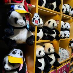 Panda's in jeglicher Größe und Form ... soweit das Auge reicht