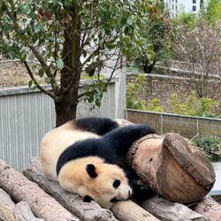 Jeder braucht mal ne Pause