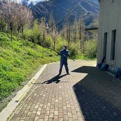 Bambus für die Pandas zerschmettern