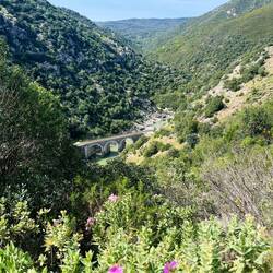 Nebenher begegnet einem immer wieder die Bahnstrecke.