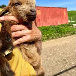 Darunter auch der kleine Pablo, der nun hoffentlich an einen besseren Platz ist :(