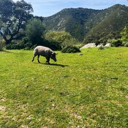 Ein etwas unsicheres Gefühl gab mir dann dieser ausgesprochen..