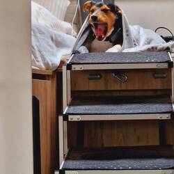 ...und Pelle ist schon wieder müde! 😂