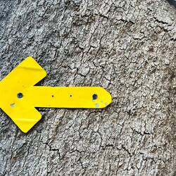 Der Pfeil gibt aber eine andere Richtung vor und..