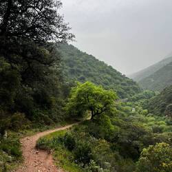 .. bedeutend weniger Anstrengung.