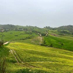 Kurz vor Ronda nimmt die landwirtschaftliche Nutzung zu - ich finde aber dennoch einen ruhigen Platz