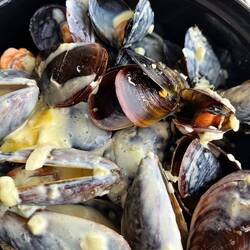 Moules a la Creme Aioli