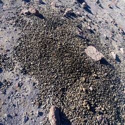 Lamalieblingstoilettenplatz 🤪