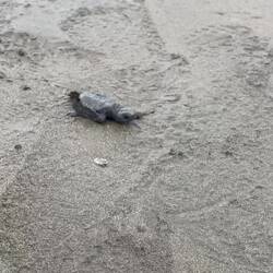 Soo unglaublich süss!😍