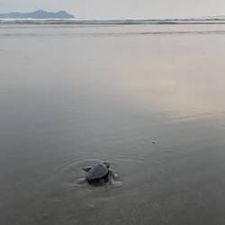 Let's go Champ!🍾🌊