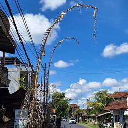 Penjor in little village near hotel
