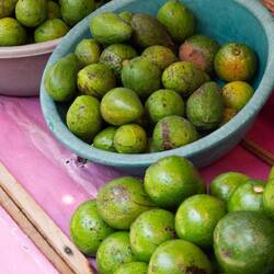 Avocados