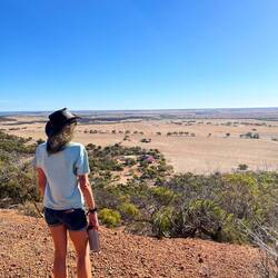 Das Grundstück ist neben einem 50m Bergkamm, auf den wir hinauf klettern