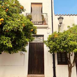 Manchmal etwas unauffälliger, dafür aber mit Orangenbäumen.