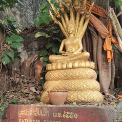 Zahlreiche verschiedene Buddhas finden sich auf dem Weg auf den Phou Si, den Stadtberg