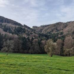 A view over the Jura mountains on the way to the Col