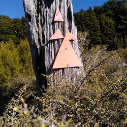 Links, rechts, geradeaus - wo lang geht's denn nun?