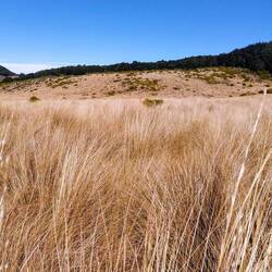 Finde den orangefarbenen Stab zur Orientierung