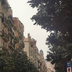 Diese Einkaufsstraße 100 m von meiner Wohnung wird jeden Samstag für Fußgänger gesperrt.