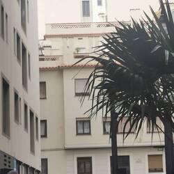 Vor der Synagoge spielt eine Band.