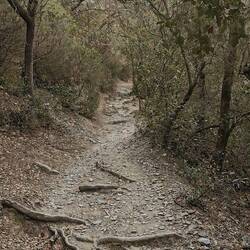 So sieht das also aus, wenn Komoot sagt, dass man evtl. absteigen muss 🤪. Und dann noch Berg auf