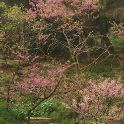 Ich musste etwas warten, bis die Leute aus dem Bild gewatschelt sind 😁