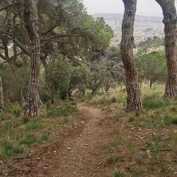 Und hier wollte es mich eine Treppe runter schicken - das war das geringere Übel.