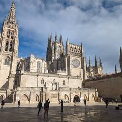 Move that VAN cars ruin everything I swear to god