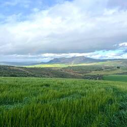 ..gut sein lasse, taucht aus dem Nichts..