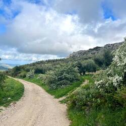 Kurz bevor ich es für heute..