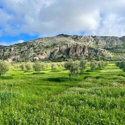 ..Terrain - also 800m-Bergen 🫠