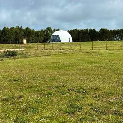 Weiß ned was das ist. War im Nationalpark aufgetaucht