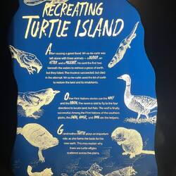 Turtle Island is the name for Earth for some Indigenous peoples of North America