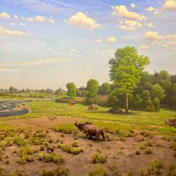 Example of the excellent dioramas