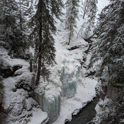 Johnston Canyon