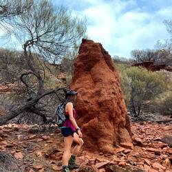 Riesige Termitenhügel