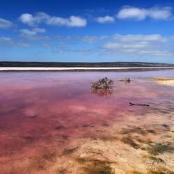 Die Hutt Lagoon - Ein Pink Lake