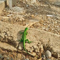 Tarnung funktioniert anders!