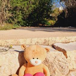 Der junge Mann ist wohl bei dem Sturm abgehauen!