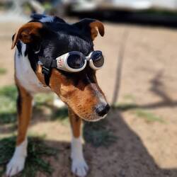 Pelle: Och nöööö! 😂