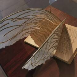 Das hat mir besonders gefallen!