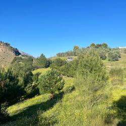 Am Ende des Tages besucht mich noch die Polizei 👮🏽‍♂️👋🏼