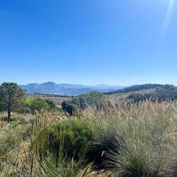 ..nach Ardales, wo jedoch..