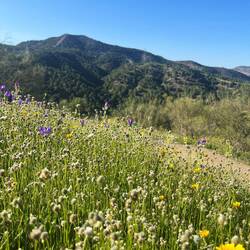 ..doch wird der Boden immer..