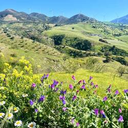 Nach Ardales bleibt es..