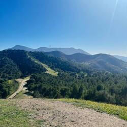 ..zwar durchaus grün und..