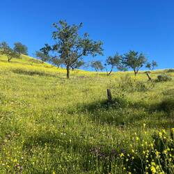 ..karger, härter und steiniger.