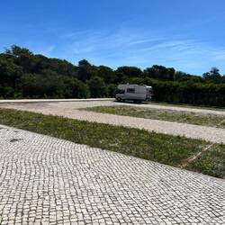 Und überall stehen WoMos