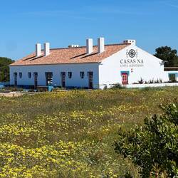 Jetzt haben die Maler doch einen Buchstaben vergessen